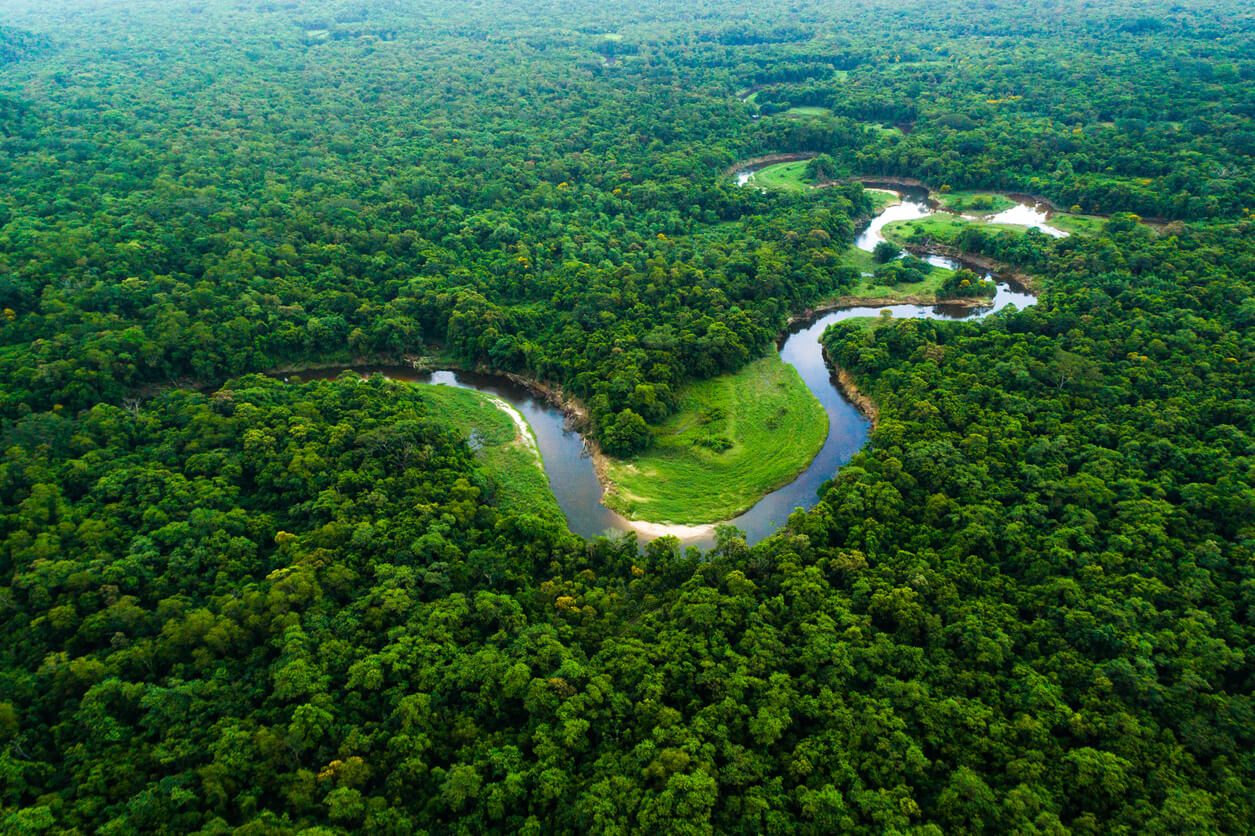 Bioma Amazônia Principais Características Clima Solo Vegetação Fauna E Mais Aulática